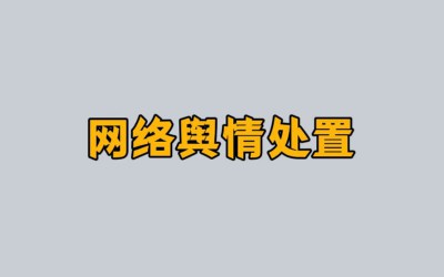 国内网络舆情优化公司排名前十有哪些企业