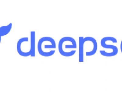 DeepSeek平台运营攻略:企业如何提升综合评价?